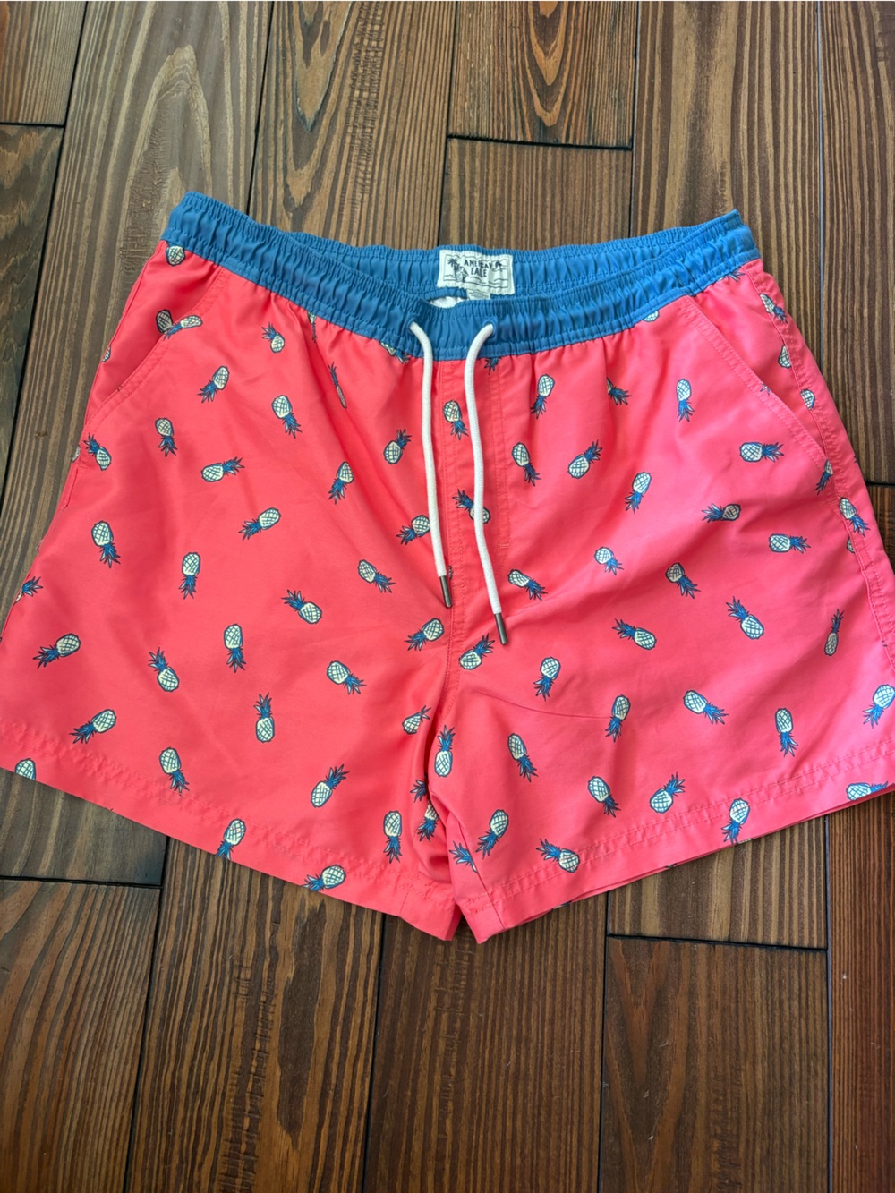 American Eagle Light Blue Elastic Waist Swim Shorts